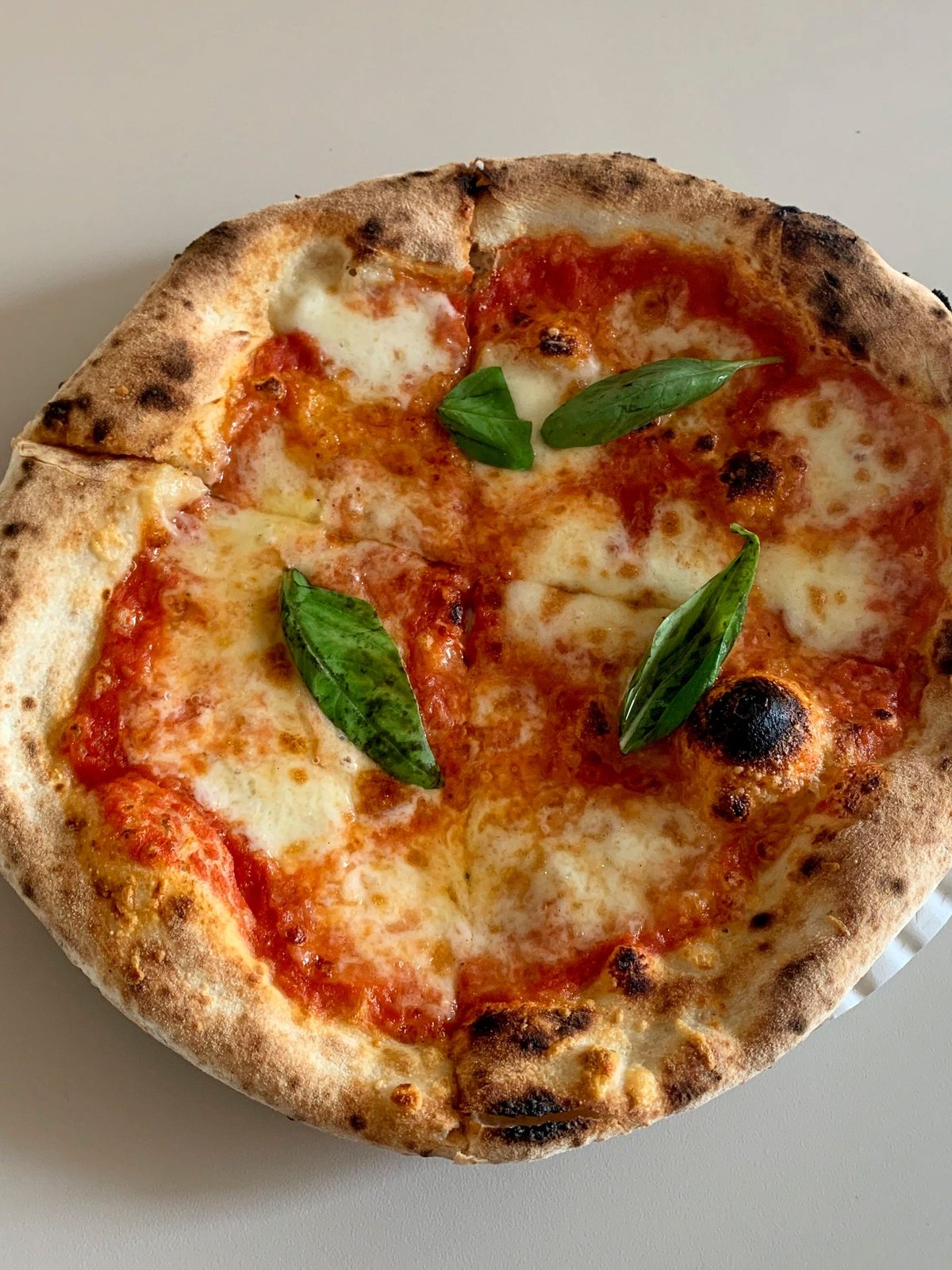 Phone photo of a margherita pizza under flat kitchen light, pale crust and grey-looking mozzarella